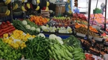 تحديث الأسواق بالقليوبية.. أسعار الطماطم والخضروات تسجل مستويات جديدة اليوم الثلاثاء